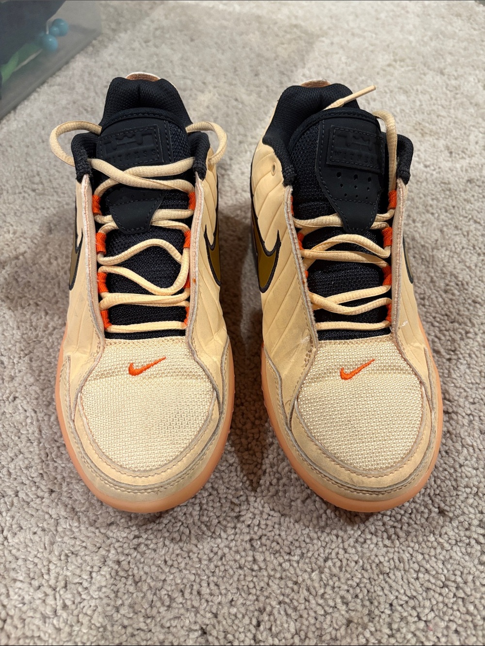 Boys Nike LeBron Witness 9 Sneaker